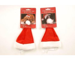Kerstmuts Hond / Kat