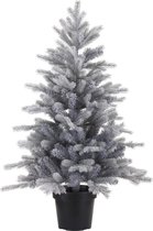 Everlands Grandis Frosted mini kerstboom 60 cm - inclusief pot - zonder verlichting