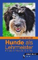 Hunde als Lehrmeister