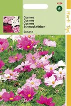 Hortitops Zaden - Cosmos Bipinnatus Sonata Gemengd