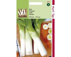 Hortitops Zaden - Prei Winterreuzen 3 (Verb.Brabantse)