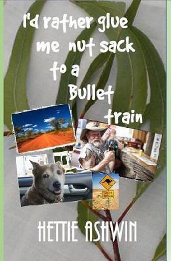 Bol Com I D Rather Glue Me Nut Sack To A Bullet Train Hettie Ashwin Boeken