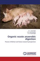Organic waste anaerobic digestion