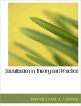 Socialisation in Theory and Practice