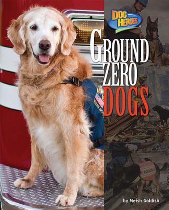 Ground Zero Dogs 9781617725760 Meish Goldish Boeken