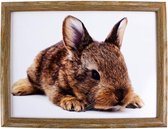 Schootkussen/laptray konijn print 33 x 43 cm - Schoottafel - Dienblad voor op schoot