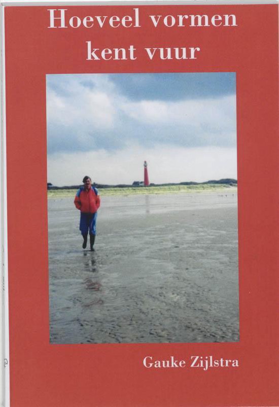 Cover van het boek 'Hoeveel vormen kent vuur'