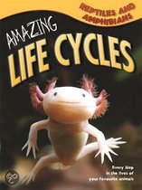 Amazing Life Cycles