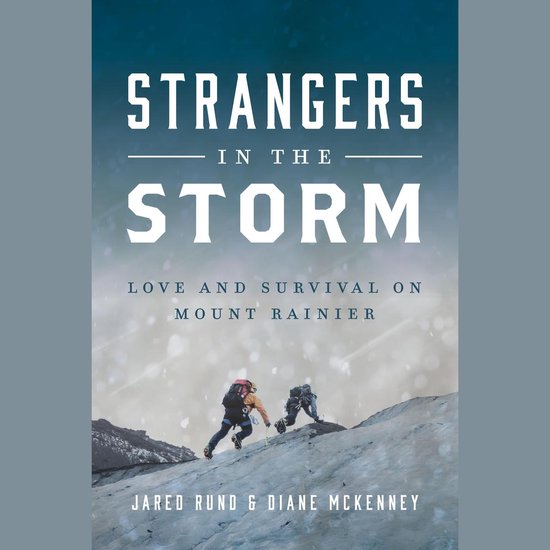 Strangers in the Storm - cover