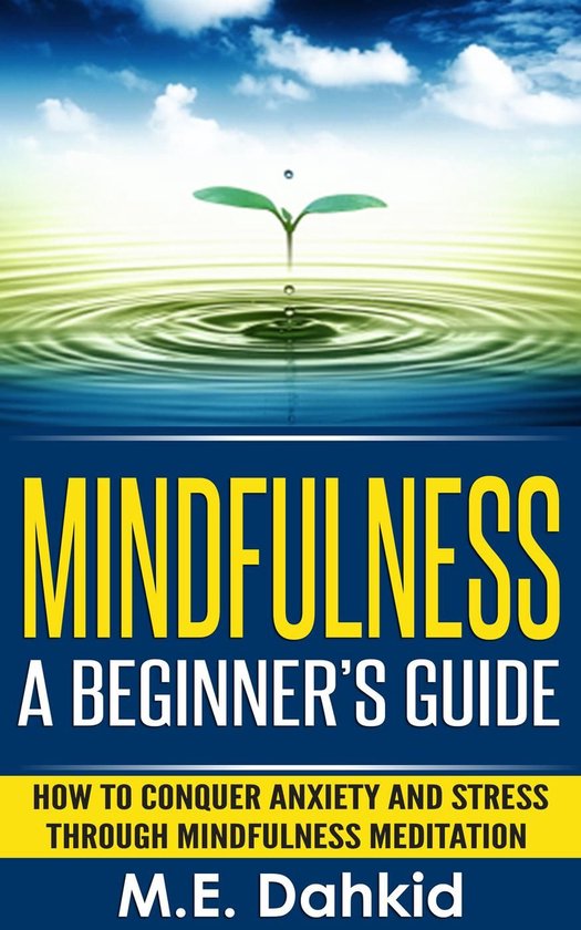 Mindfulness: A Beginner's Guide - cover