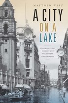 Radical Perspectives - A City on a Lake