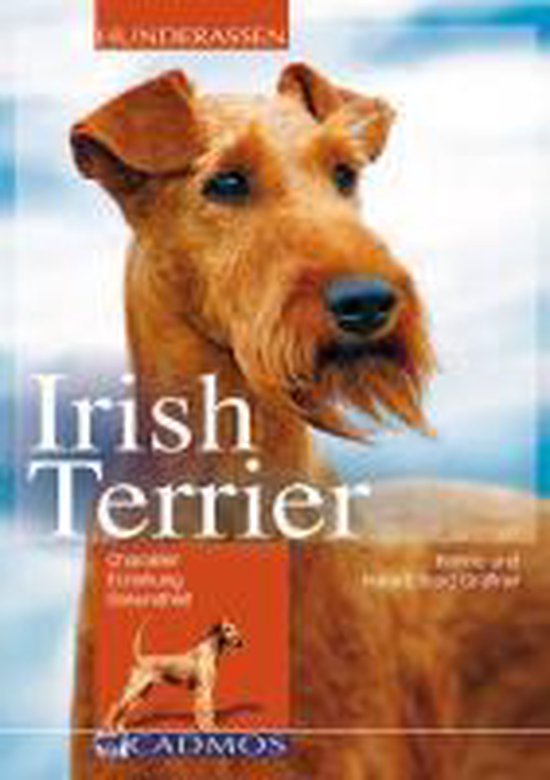 Close-up van een Ierse Terriër met rode vacht. De tekst 'Irish Terrier' staat op de voorgrond.