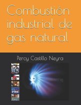 Combusti n Industrial de Gas Natural