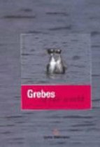 Grebes of Our World