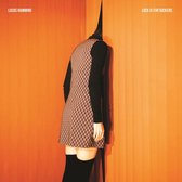 Lucas Hamming - Luck Is For Suckers