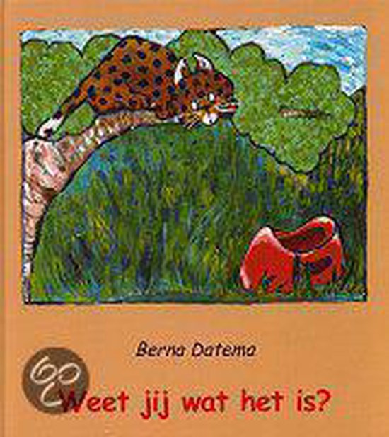 Cover van het boek 'Weet jij wat het is ?'
