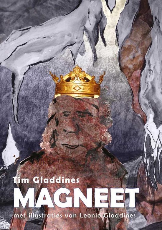 Cover van het boek 'Magneet'
