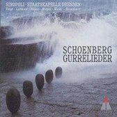 Schoenberg: Gurrelieder / Sinopoli, Voigt, Larmore, et al