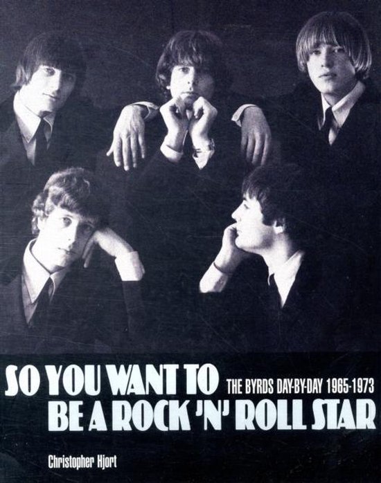 So You Want to Be a Rock 'N' Roll Star