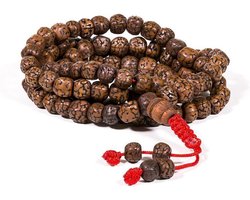 Mala gepolijste Rudraksha 108 Kralen (Model 2)
