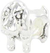 Quiges - 925 - Zilveren - Bedels -Sterling zilver - Beads - Hond Teckel Puppy Kraal Charm - Geschikt – voor - alle bekende merken - Armband Z384