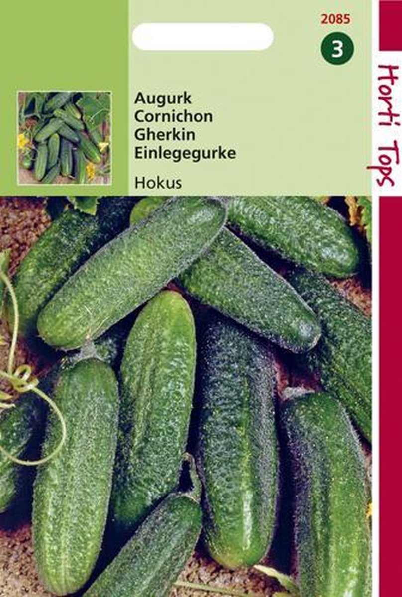 Hortitops Zaden - Augurken Hokus