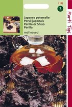 Hortitops Zaden - Japanse peterselie - Roodbladig (Shiso)