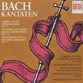 Bach: Kantaten BWV 4, 134, 31 / Rotzsch, Thomanerchor