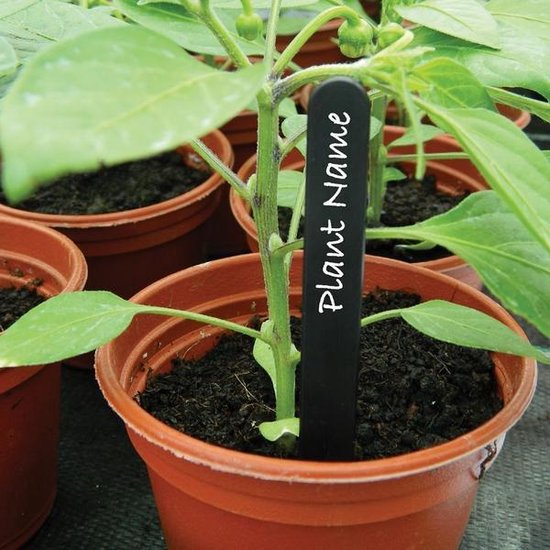 Foto: Plantenlabels zwart set van 50 stuks
