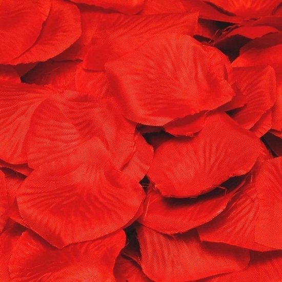 Berg kleding op Bedrijf gedragen Luxe rode rozenblaadjes 1000 stuks | bol.com