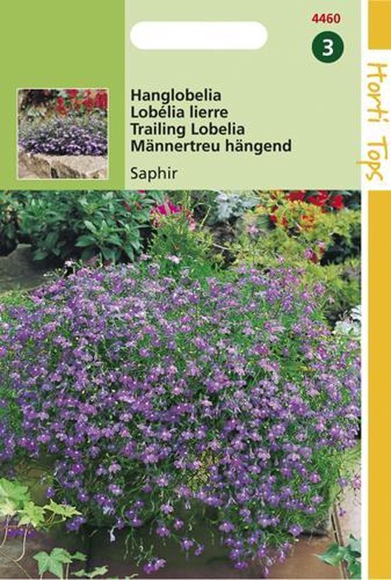 Hortitops Zaden - Lobelia Pendula Saphir
