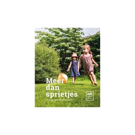 Omslag van Meer dan sprietjes