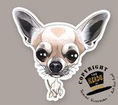 Magneet Hond Chihuahua