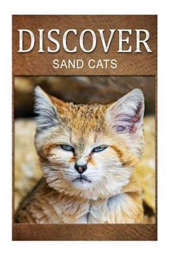 Sand Cats - Discover - cover