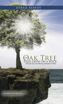 The Oak Tree that Grew on a Rock