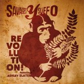 7-Revolution