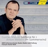 SWR Sinfonieorchester Baden-Baden Und Freiburg - Symphony No.21/Im Sommerwind (CD)
