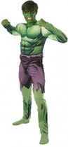 De Hulk kostuum voor volwassenen L
