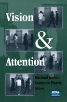 Vision and Attention