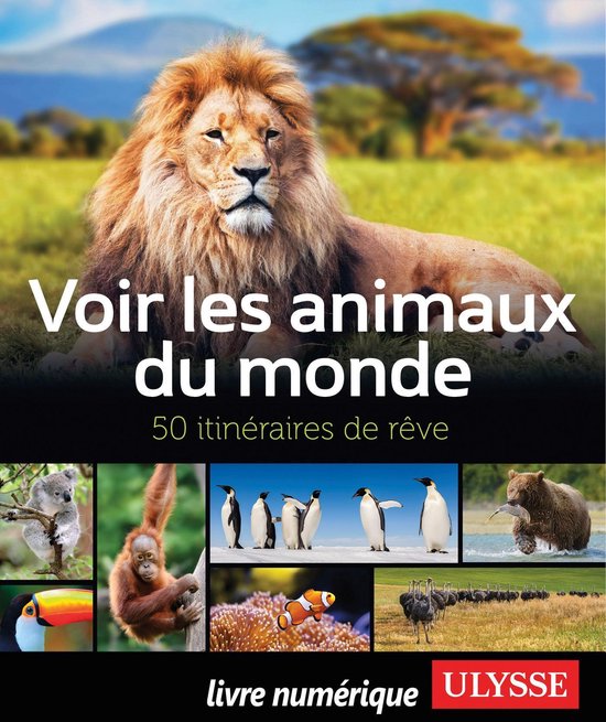 Bol Com Voir Les Animaux Du Monde 50 Itineraires De Reve Ebook Ariane Arpin Delorme