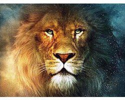 SEOS Shop ® Diamond Painting Volwassenen - Diamond Painting Kinderen - Diamond Painting Pakket Volledig - Gekleurde Leeuwenkop - 30x40 cm