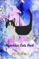 Munchkin Cats Rock