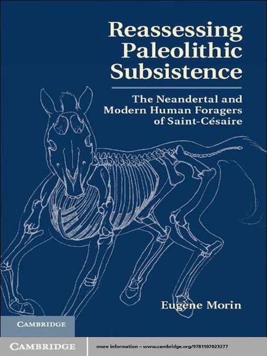 Reassessing Paleolithic Subsistence - cover