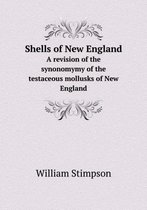 Shells of New England A revision of the synonomymy of the testaceous mollusks of New England