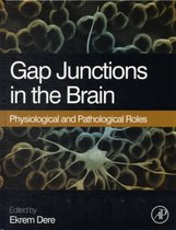 Gap Junctions in the Brain