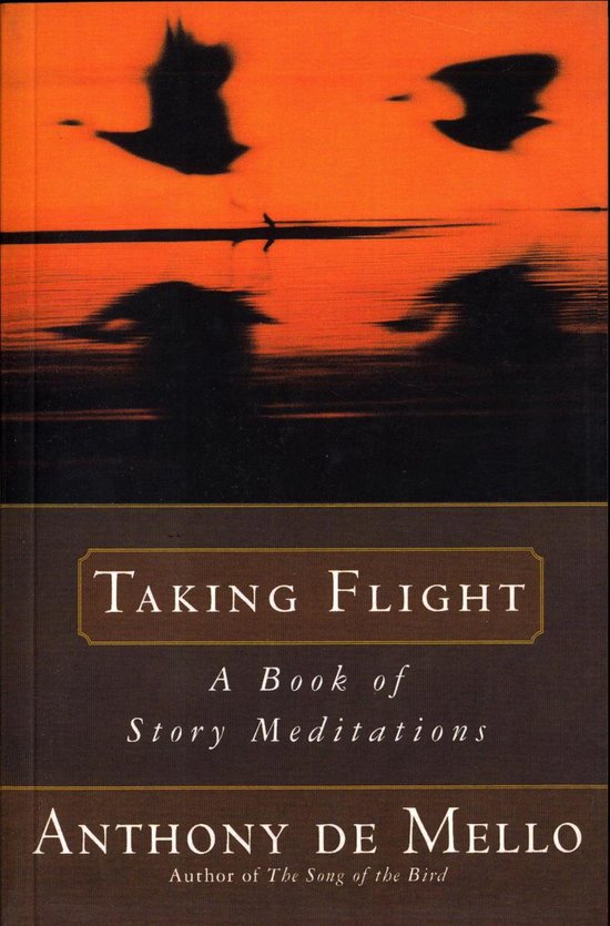 Boek met de titel 'Taking Flight' in gouden letters, met silhouetten van vliegende vogels tegen een oranje zonsondergang.
