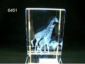 Glasblokje giraffe met jong