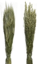 Grass dried flower L25-W10-H75cm natural