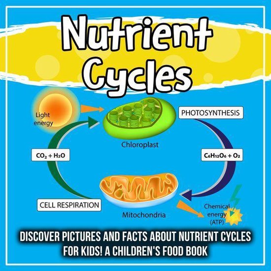 Nutrient Cycles Discover Pictures and Facts About Nutrient Cycles For