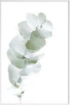 JUNIQE - Poster met kunststof lijst Eucalyptus White 1 -13x18 /Groen &